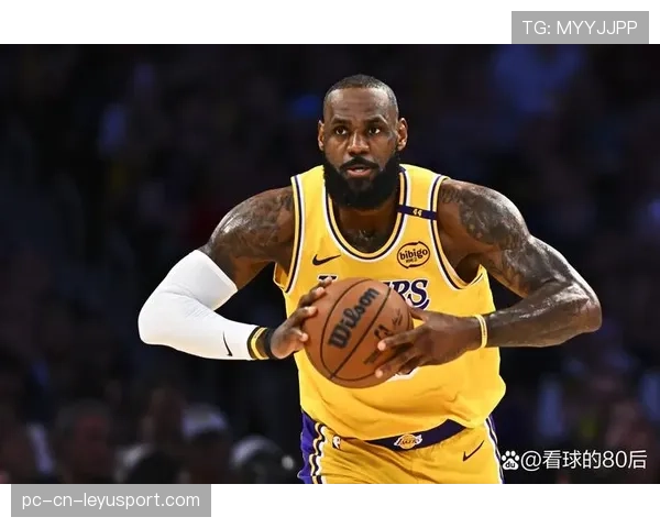 湖人篮板保护问题再次成为焦点